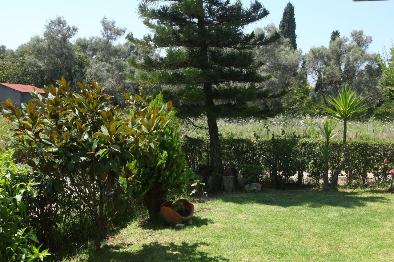 Arokaria Apartment Lefkada City ภายนอก รูปภาพ